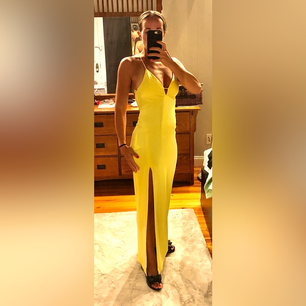 Alice and Olivia full length gown